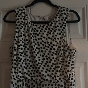 NWT Loft Dress